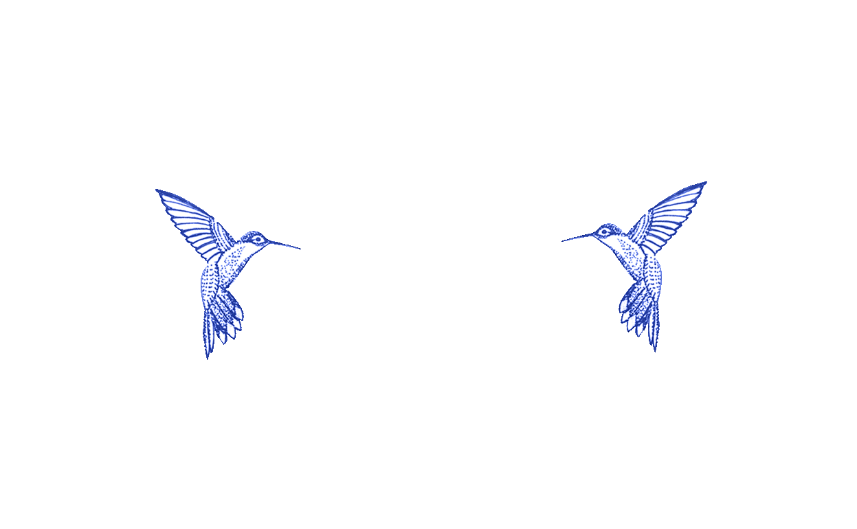 animating heart